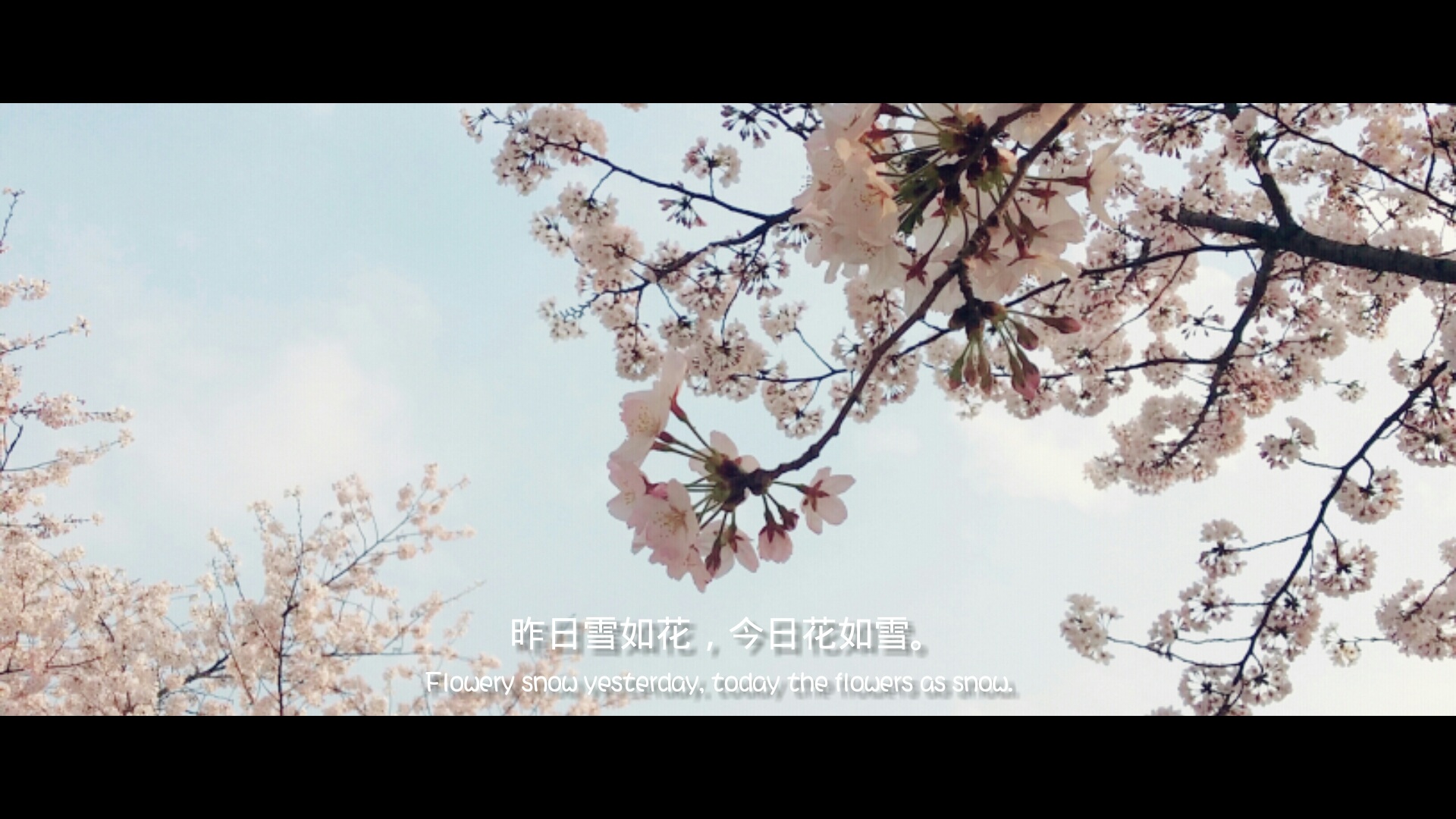 今天六合彩结果